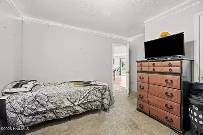 202 Red Sorrel Drive, Stella, NC 28582 - Photo 25