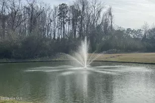 63 Waterfall Ln, Whiteville, NC 28472 - Photo 3