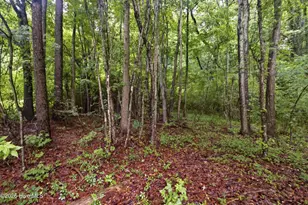 3825 N US 17 Hwy, New Bern, NC 28560 - Photo 19