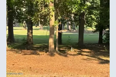4501 W Fairway Drive, Trent Woods, NC 28562 - Photo 27
