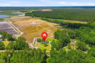 3984 Beattys Bridge Rd, Atkinson, NC 28421 - Photo 43
