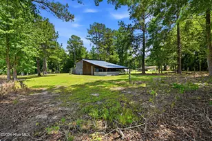 3984 Beattys Bridge Rd, Atkinson, NC 28421 - Photo 35