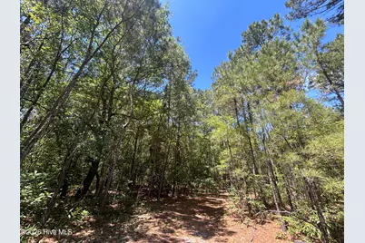 13737 James B White Highway S, Tabor City, NC 28463 - Photo 21