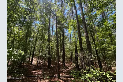 13737 James B White Highway S, Tabor City, NC 28463 - Photo 17