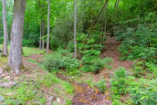 16090 W US Hwy 64, Murphy, NC 28906 - Photo 89