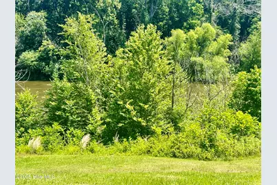 281 Old Sr 1801, Scotland Neck, NC 27874 - Photo 49
