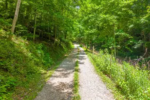1044 Shell Stand Rd, Robbinsville, NC 28771 - Photo 47
