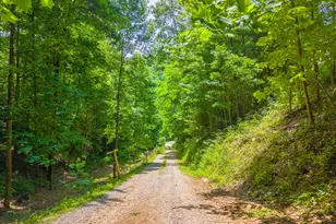 1044 Shell Stand Rd, Robbinsville, NC 28771 - Photo 45
