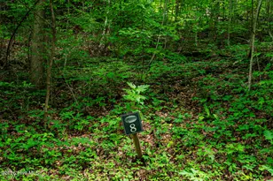 Lot 8 Skyview Dr, Hayesville, NC 28904 - Photo 1