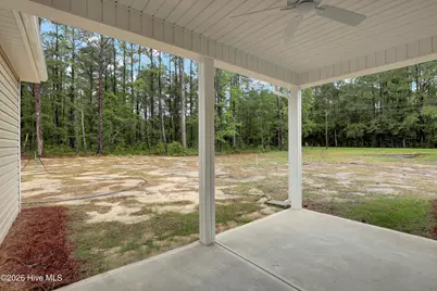 42 Peach Court, Burgaw, NC 28425 - Photo 29
