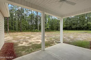 42 Peach Ct, Burgaw, NC 28425 - Photo 29
