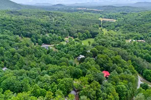 1070 Burger Rd, Murphy, NC 28906 - Photo 55