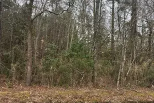 7575 Princess Ann Rd, Evergreen, NC 28438 - Photo 1