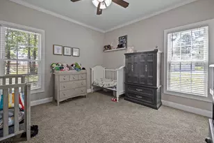 103 Blue Heron Cir, Sneads Ferry, NC 28460 - Photo 31