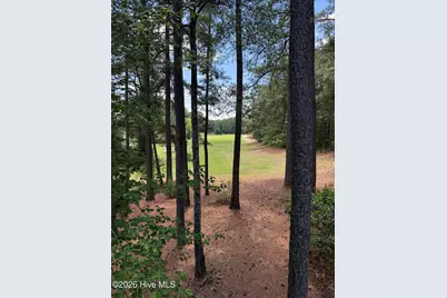 1807 Airport Road, Whispering Pines, NC 28327 - Photo 67