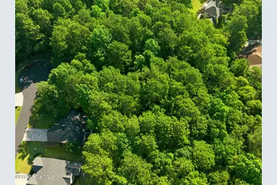 108 Bridge Tender Cove, Sneads Ferry, NC 28460 - Photo 13