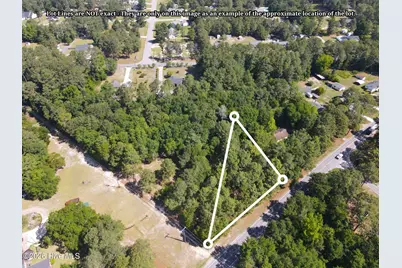 Tbd Cheraw Road, Hamlet, NC 28345 - Photo 3