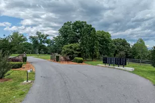 460 River Mountain Rd, Murphy, NC 28906 - Photo 3