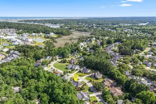 621 Blue Point Dr, Wilmington, NC 28411 - Photo 73