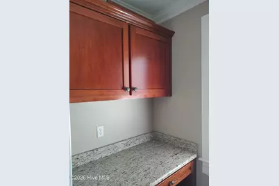 2348 Deep Run Church Road, Deep Run, NC 28525 - Photo 23