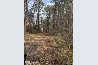 269 Creek Road, Bath, NC 27808 - Photo 5