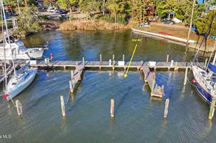 414 Whittaker Point Rd, Oriental, NC 28571 - Photo 3
