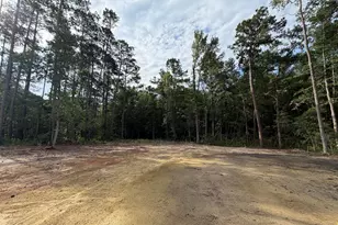 41 Peach Ct, Burgaw, NC 28425 - Photo 21