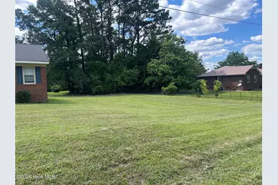 307 N Railroad Street, Macclesfield, NC 27852 - Photo 3