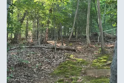 194 Ingrams Mill Road, Ellerbe, NC 28338 - Photo 19