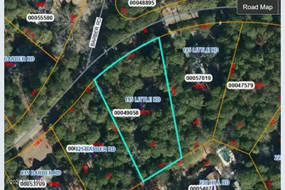 195 Little Road, Southern Pines, NC 28387 - Photo 3