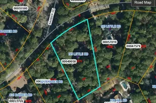 195 Little Rd, Southern Pines, NC 28387 - Photo 3
