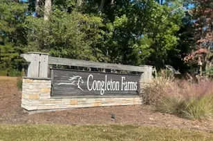 1355 Big Cypress Loop, Wilmington, NC 28409 - Photo 45