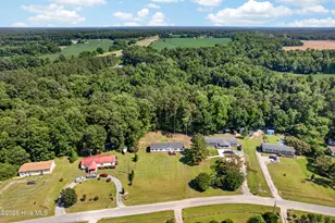 304 Washington Creek Dr, Willard, NC 28478 - Photo 39