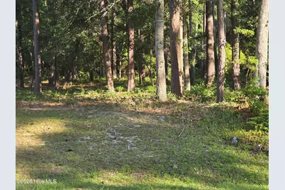 3840 Timber Stream Drive, Southport, NC 28461 - Photo 1