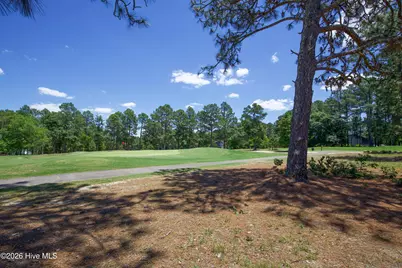 6 Pine Tree Terrace, Jackson Springs, NC 27281 - Photo 33