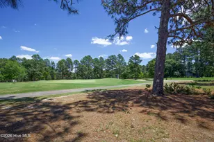 6 Pine Tree Terrace, Jackson Springs, NC 27281 - Photo 33