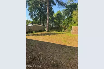 320 Spring Street, Hamlet, NC 28345 - Photo 13