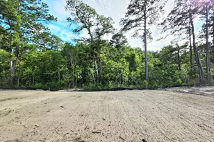 1082 River Marsh Path SE, Boiling Spring Lakes, NC 28461 - Photo 3
