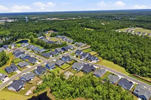 50 Coburn Ct, Hampstead, NC 28443 - Photo 59
