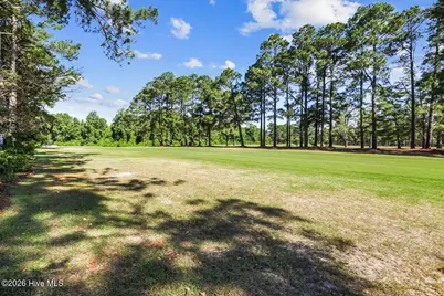 206 Ramblewood Drive, Mount Olive, NC 28365 - Photo 13
