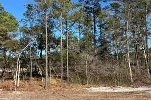 Lot 138 Coral Gull St, Southport, NC 28461 - Photo 1