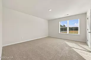 3306 Schuyler Dr, Farmville, NC 27828 - Photo 35
