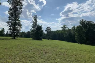 321 Whistle Hill Rd, Cameron, NC 28326 - Photo 1