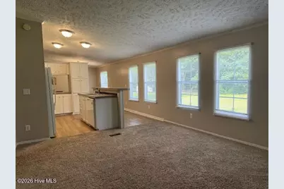 228 Bellhammon Forest Drive, Rocky Point, NC 28457 - Photo 9