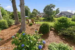 1135 Water Lily Way, Leland, NC 28451 - Photo 57