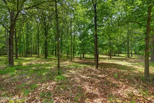 [Address not provided], Rocky Point, NC 28457 - Photo 67