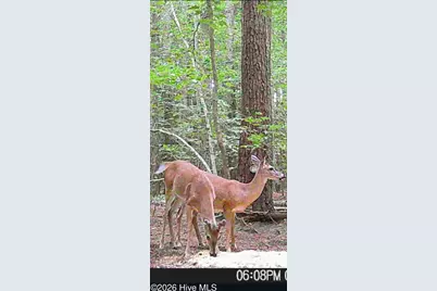 20 Wells Lane, Gates, NC 27937 - Photo 41