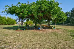 3918 Caitlin Dr, Battleboro, NC 27809 - Photo 39