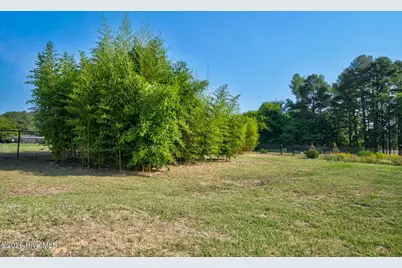 3918 Caitlin Drive, Battleboro, NC 27809 - Photo 41