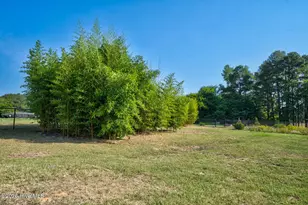 3918 Caitlin Dr, Battleboro, NC 27809 - Photo 41